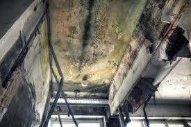 Best Residential Mold Inspection & Testing  in Bear Creek, AK